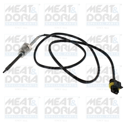 Sensor, exhaust gas temperature